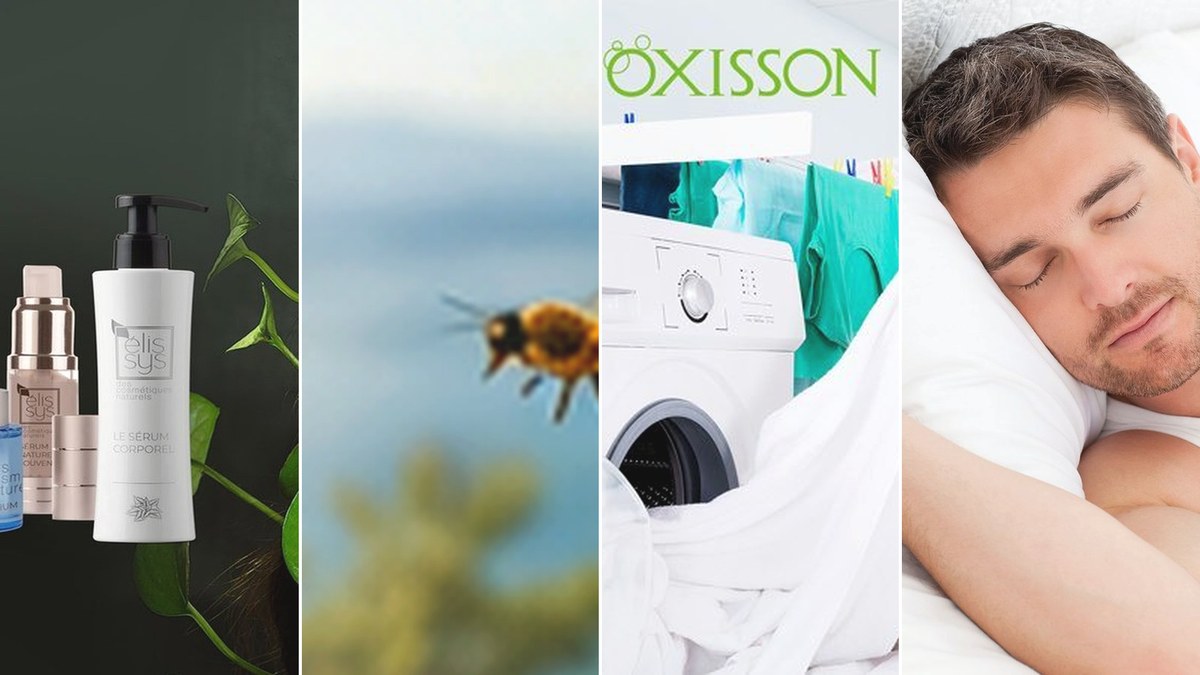 Four local images representing cosmetic botanicals, bee-derived ingredients, home-care use and textile materials across the Telmone portfolio